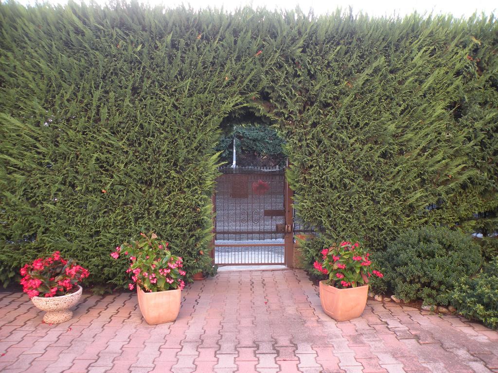 Villa Casa Oriana à Rosolina Extérieur photo